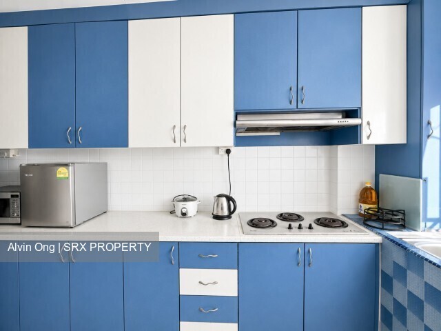 Blk 883 Tampines Spring (Tampines), HDB 4 Rooms #575106721